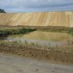 Erosion Control