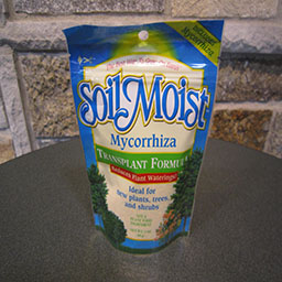 Soil Moist Mycorrhiza