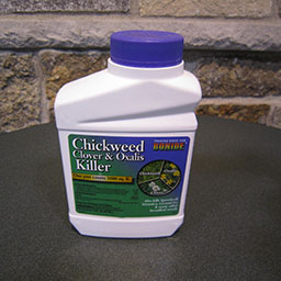Chickweed Killer